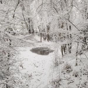 Meet your Posher, Frances